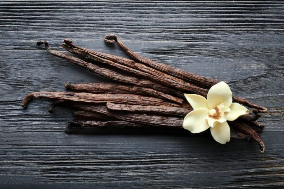 VANILLA