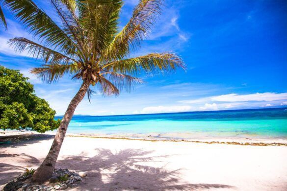 WHITE ISLAND
